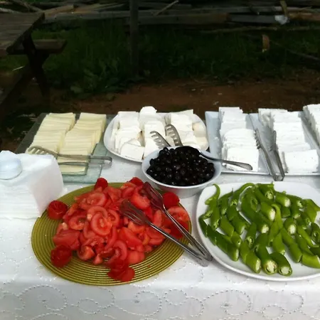 Hotel Liveasist Bungalow Tatil Köyü, Ağva