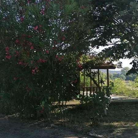 Liveasist Bungalow Tatil Koyu,