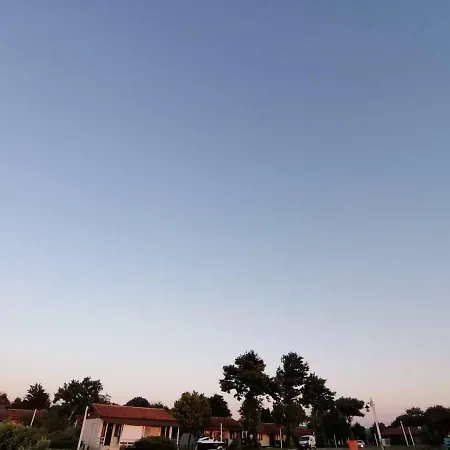 Отель Liveasist Bungalow Tatil Koyu, Шиле